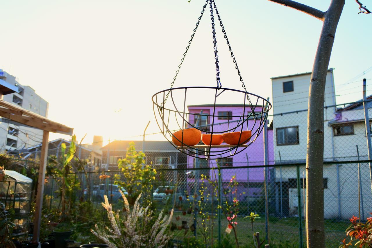 Kamagasaki University Of The Arts Cafe Garden Guest House Aka Cocoroom 大阪 外观 照片